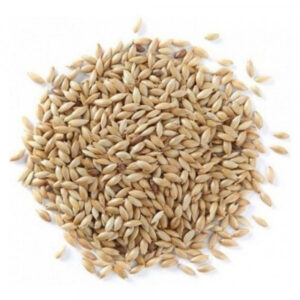 Alpiste Canadense (Granel 100g)