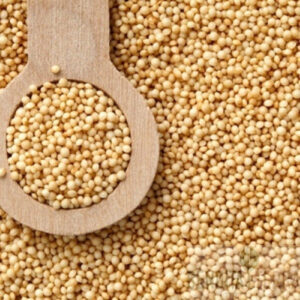 Amaranto em Grãos (Granel 100g)