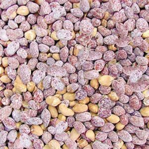 Amendoim Cavalo Torrado Salgado (Granel 100g)