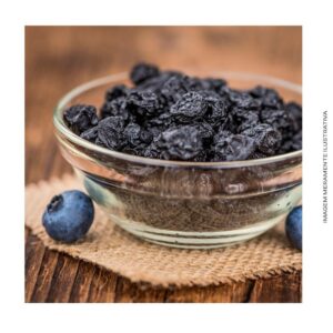 Blueberry Desidratado - Mirtilo (Granel 100g)