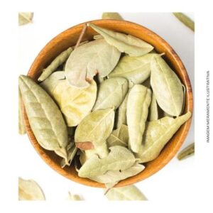Boldo do Chile (Granel 100g)