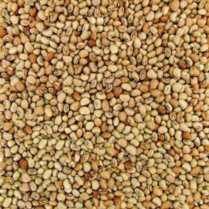 Feijão de Corda ( Granel 100g )