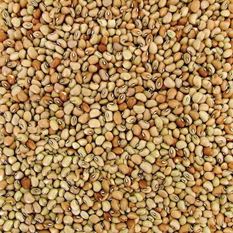 Feijão de Corda ( Granel 100g )