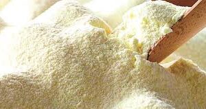 Leite em Pó Inst.Integ.Zero Lactose (100 gramas)