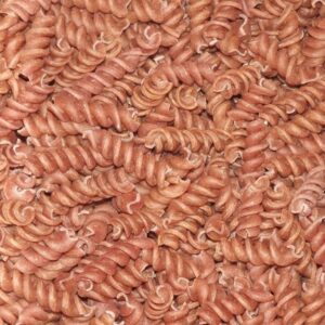 Macarrão Integral Beterraba (Granel 100g)
