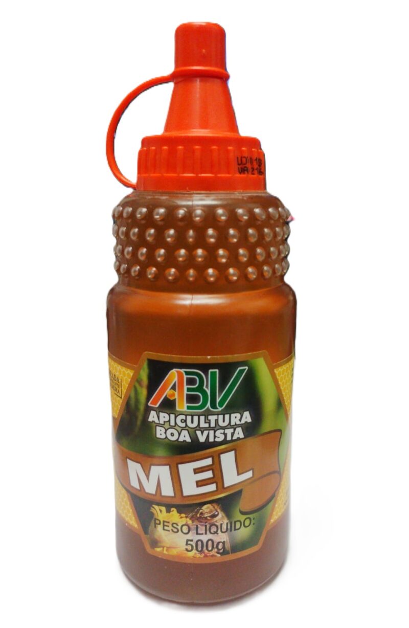 Mel puro Laranjeira bisnaga pet 500g