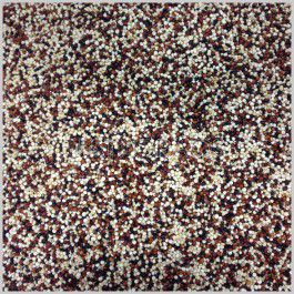 Mix de Quinua Grãos (Granel 100g)