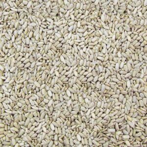 Semente de Girassol sem Casca Crua (Granel 100g)
