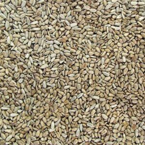 Semente de Girassol Torrada S/Casca S/Sal ( Granel 100g )