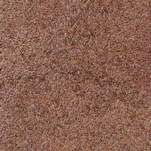 Semente de Linhaça Marrom ( Granel 100g )