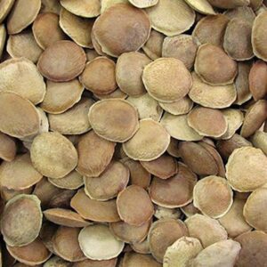 Semente de Sucupira (Granel 100g)