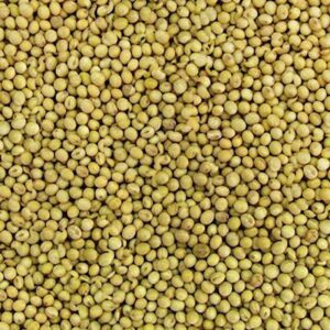 Soja em Grãos ( Granel 100g )