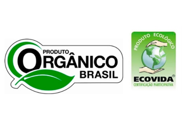 Vinagre de Maçã  100% Orgânico Catarina Pronto para Beber 600ml - Imagem 4
