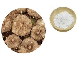 Glucomannan em Pó (Extraída da Raíz de Konjac) - (Granel 100gr) - Imagem 2