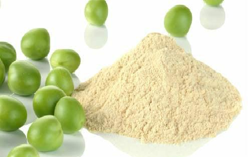 Proteína de ervilha 80% (Granel) 100g